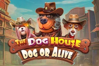 Thedoghousedogoralive онлайн РаменБет